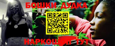 стаф Моздок