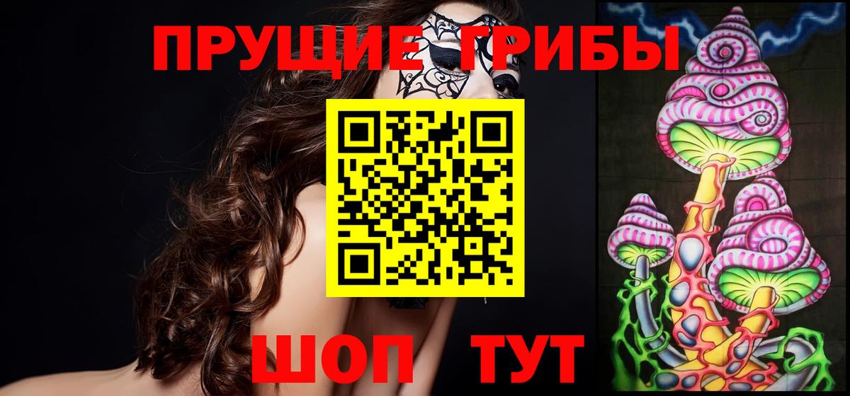 Галлюциногенные грибы Cubensis  Вход с VPN  Боровичи 